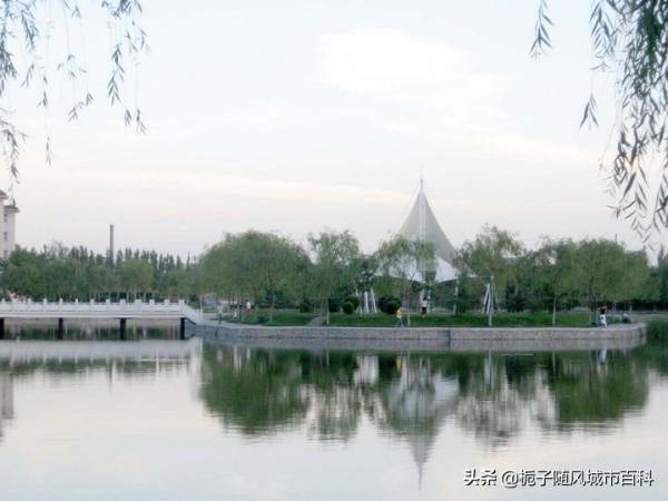 宁夏好的大学排名(宁夏最好的大学是哪所)插图2
