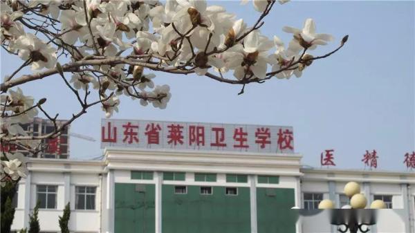 山东医学专科学校排名前十名(山东医学类专科院校排名)插图9