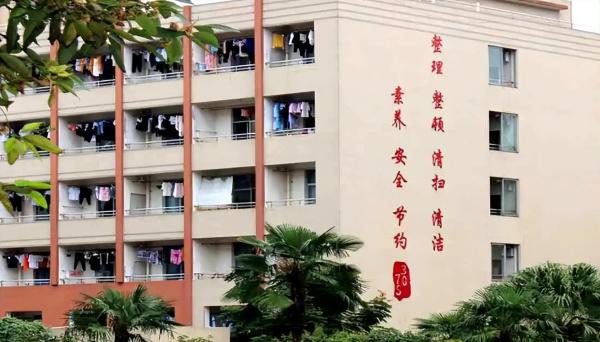 四川公立高职(四川公办高职专科学校)插图15