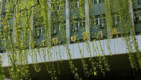 南开大学985大学吗(南开大学985 211)插图5