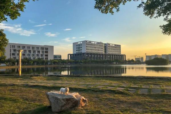 广东科学技术职业学院怎么样知乎招聘(广东科学技术职业学院怎么样知乎推荐)插图6