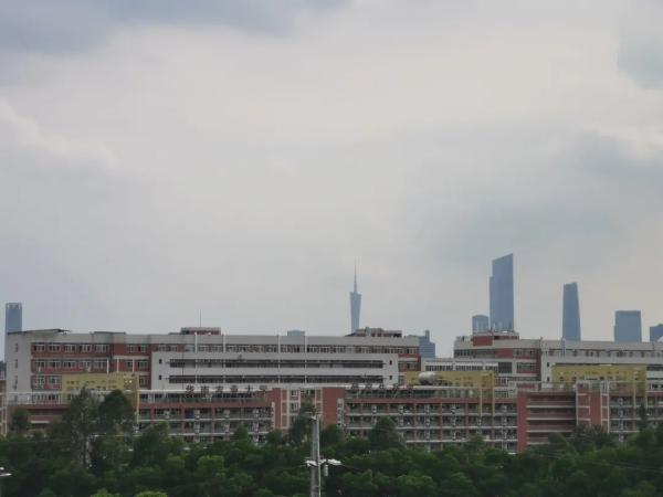 广州体育职业技术学院招生条件(广州体育职业技术学校可以读本科吗)插图2