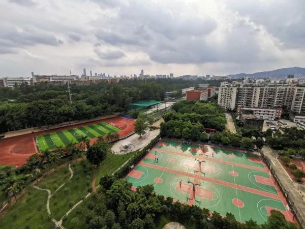 广州体育职业技术学院招生条件(广州体育职业技术学校可以读本科吗)插图7
