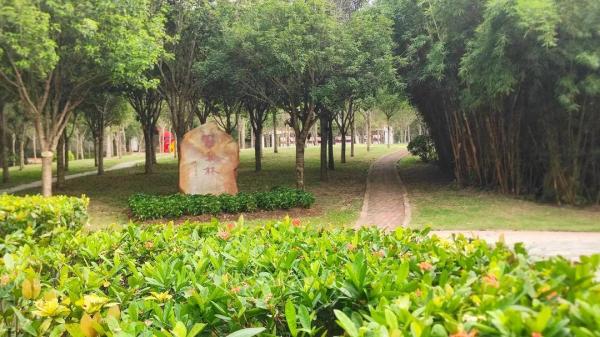 广州体育职业技术学院招生条件(广州体育职业技术学校可以读本科吗)插图12