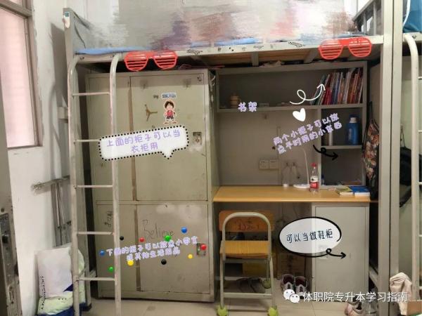 广州体育职业技术学院招生条件(广州体育职业技术学校可以读本科吗)插图20
