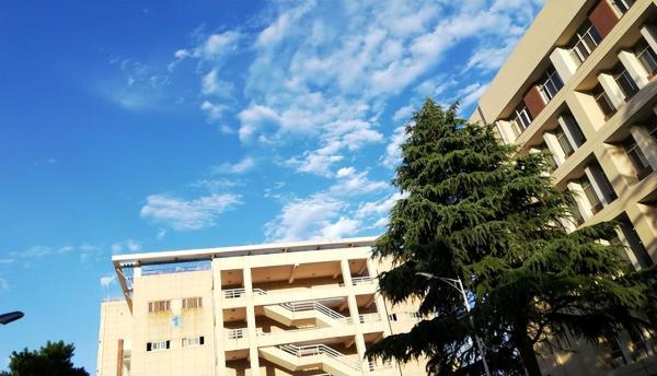 华东政法大学录取分数线高吗(华东政法大学去年录取分数是多少)插图6