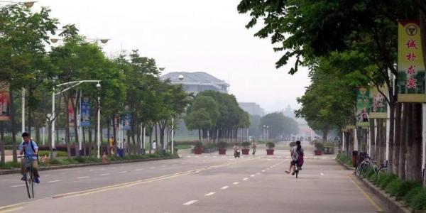 东南大学编号是什么(东南大学院系序号)插图2