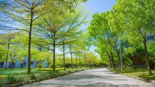 广东水利电力职业技术学院是公办的吗(广东水利电力职业技术学院是公办的吗还是民办)插图10