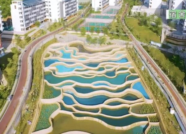 广州幼儿师范高等专科学校是公办的吗(广州市幼儿师范学校是大专吗)插图11