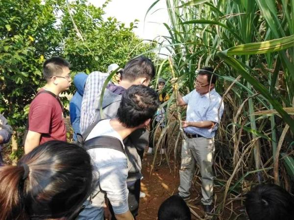 广东农工商职业技术学院归属什么部门(广东农工商职业技术学院属于)插图42