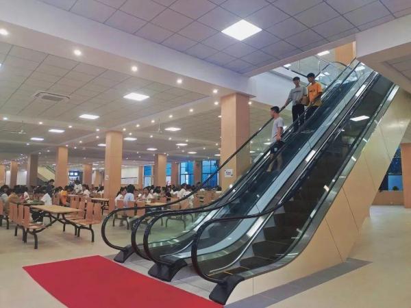 惠州公办大专职业学校有哪些(惠州公办专科学校)插图37