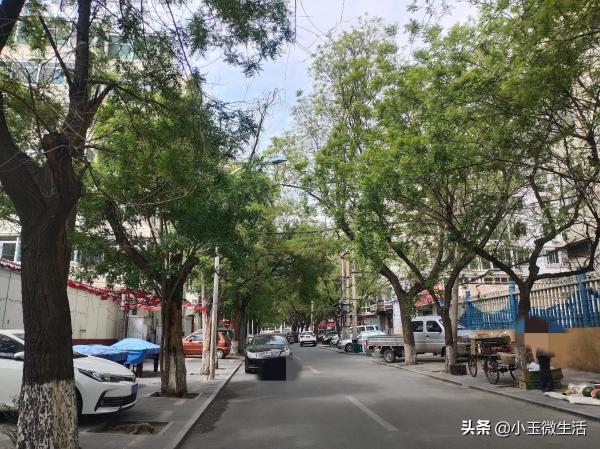宣化科技职业学院是大学还是技校(宣化科技职业学院怎么样好不好)插图2