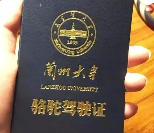 兰州大学在哪座城市有校区(兰州大学是在哪)插图
