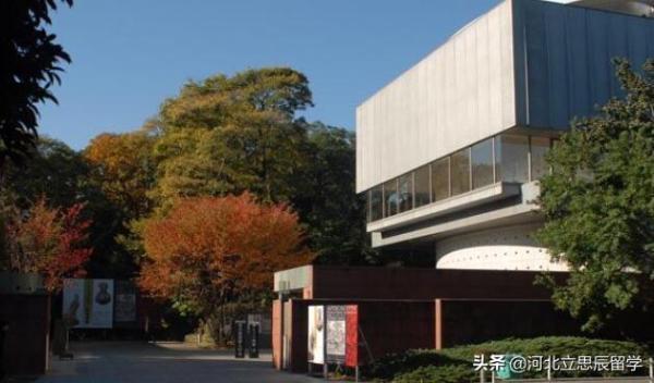东京艺术大学本科入学条件(东京艺术大学读几年)插图