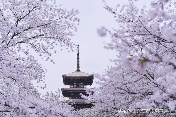 全国最美大学排名最新名单(全国最美大学排名最新榜单)插图2