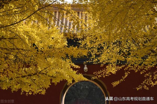 全国最美大学排名最新名单(全国最美大学排名最新榜单)插图4