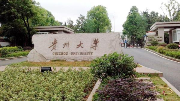 吉林大学算顶尖985吗(吉林大学综合实力排名全国第几)插图2
