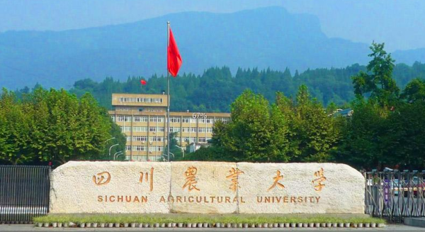 四川农业大学全国大学排名(四川农业大学排名四川第几)插图1