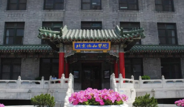 当医生报考什么学校(当医生得考什么大学)插图1