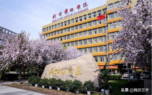 成人本科舞蹈专业学校(沈阳舞蹈专业学校)插图