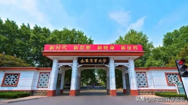 山东省本科公办院校排名前十(山东省公办本科高校排名)插图10