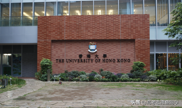 国内上二本还是去澳门读大学(澳门大学能当985吗)插图