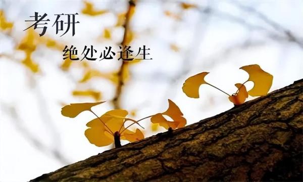 医学考研比较容易的学校(考研较容易的医学院校)插图