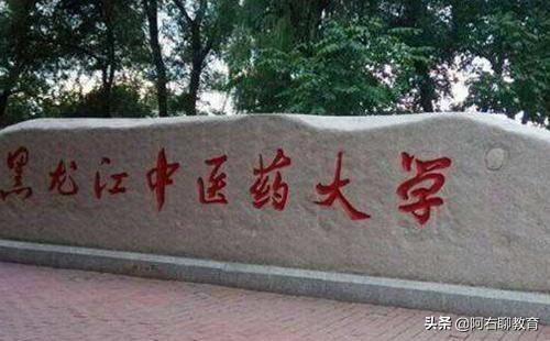 哈尔滨医科大学在全国医学排几位(哈尔滨医科大学在医学类的全国排名)插图3