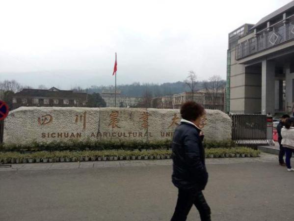 四川农业大学属于哪种学校管理(四川农业大学属于什么学校)插图