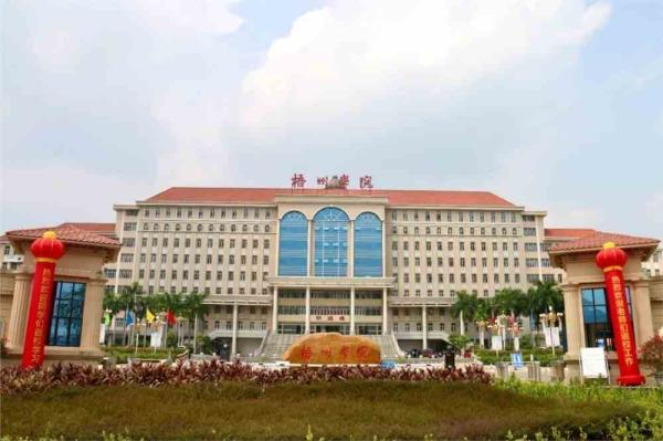 广西公办本科院校分数线(广西公办大学本科)插图5