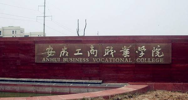 合肥大专职业学校排名表最新(合肥大专职业学校排名表格)插图5