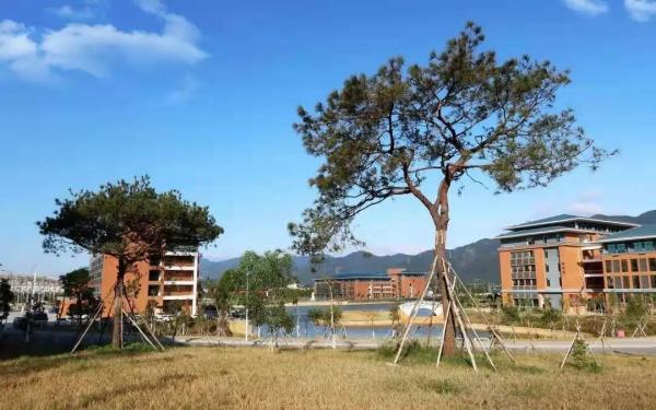 广东建设职业技术学院怎么样知乎(广东建设职业技术学院是大专还是中专)插图15