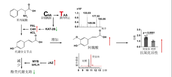 复旦大学航空航天专业怎么样(复旦大学航空航天专业排名)插图11