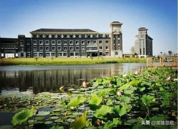 上海海运学院是985吗(上海海洋大学和海事大学会合并吗)插图3