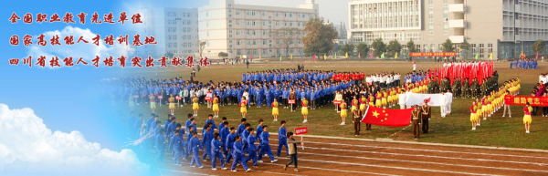 四川成都公办职业学校排行榜(四川成都职业学校排行榜前十名)插图5