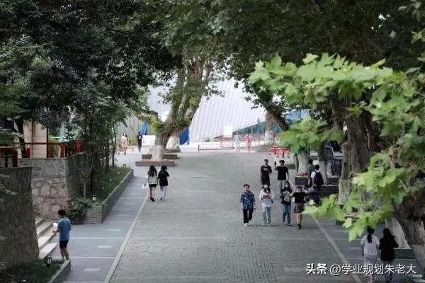 南京艺术学院收分多少(今年南京艺术学院最低分数线是多少)插图
