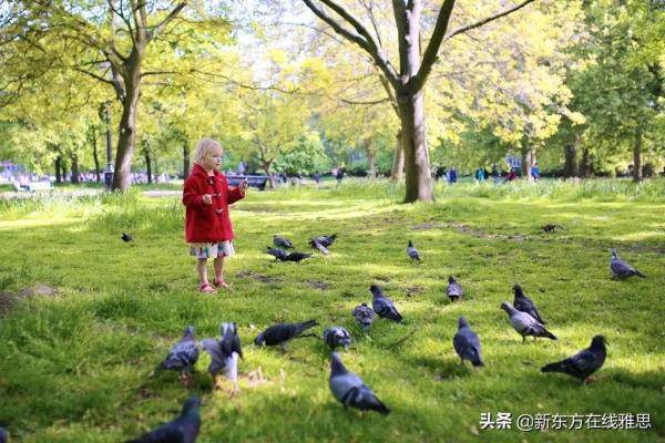 伦敦有名的大学(伦敦有些什么大学)插图15