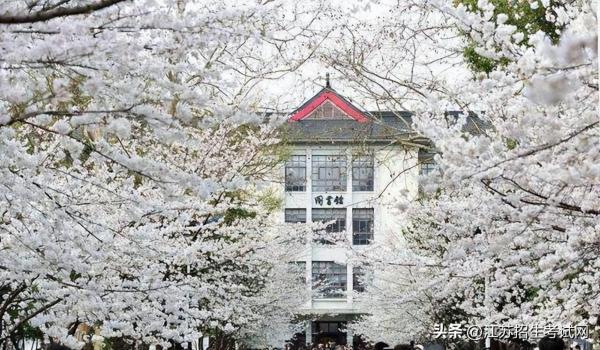 3218南京林业大学(1115南京林业大学)插图