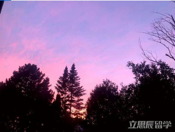 ubc相当于国内什么大学(ubc比得上国内985吗)插图