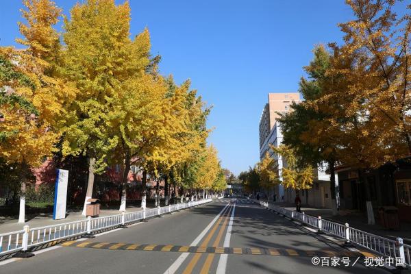 中国地质大学北京地址邮编(中国地质大学北京邮政)插图7