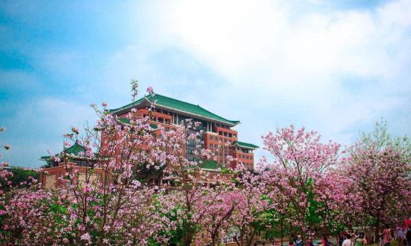华南农业大学材料化学专业(华南农业大学材能学院官网)插图2