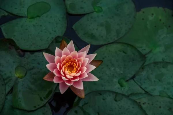 广东工贸职业技术学院属于几类大学类别(广东工贸职业技术学院属于几类大学专业)插图8