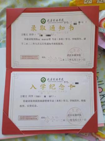 技能高考分数多少(技能高考一般考多少分)插图