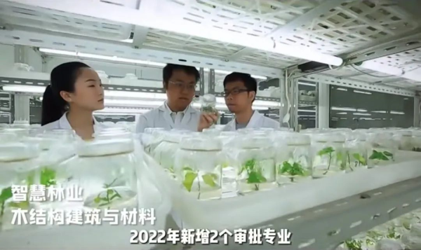 南京林业大学全国排名多少位(南京林业大学全国排多少名)插图5