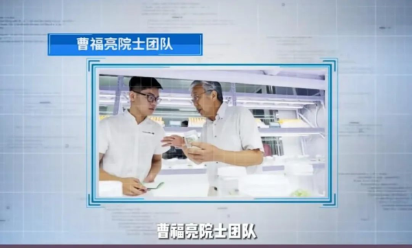 南京林业大学全国排名多少位(南京林业大学全国排多少名)插图12