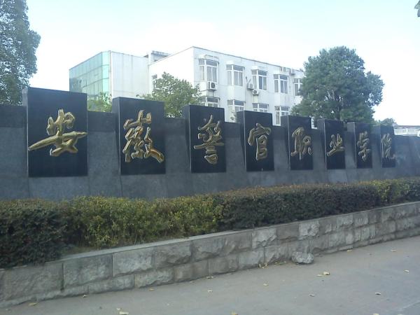 安徽内的专科学校排名(安徽有几所好的专科学校)插图3