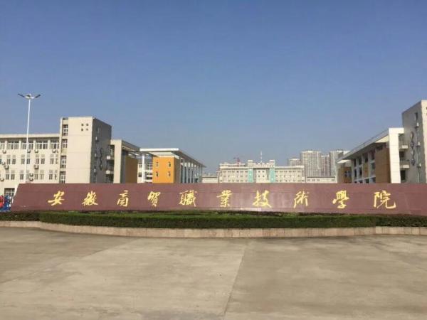 安徽内的专科学校排名(安徽有几所好的专科学校)插图10