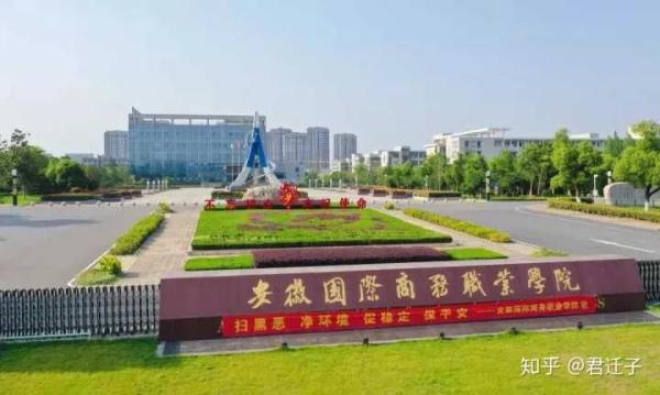 安徽内的专科学校排名(安徽有几所好的专科学校)插图12