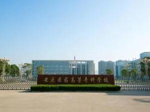 安徽内的专科学校排名(安徽有几所好的专科学校)插图20