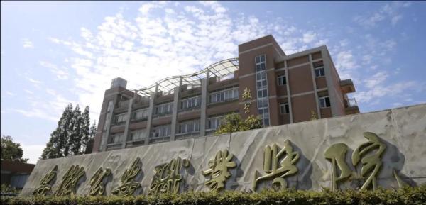 安徽内的专科学校排名(安徽有几所好的专科学校)插图53